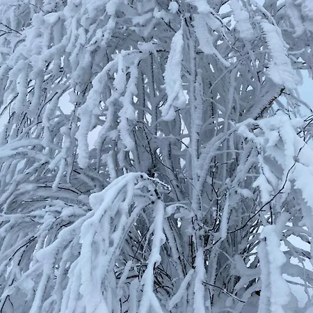 Appartement Augenblick *