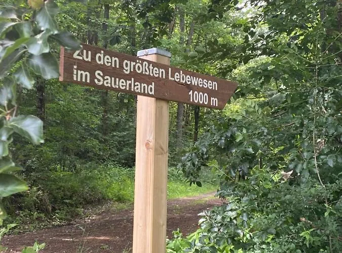 Augenblick Apartment