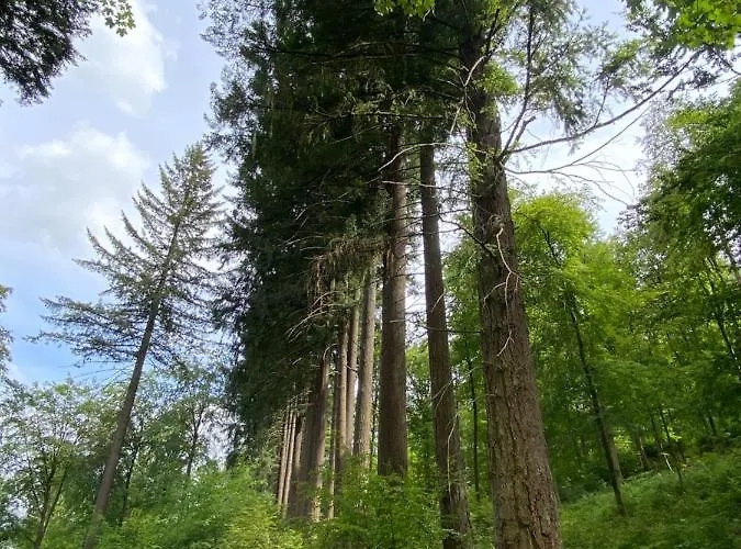 Augenblick Appartement