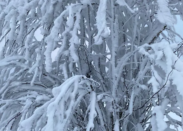 Apartamento Augenblick *